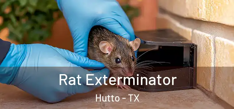  Rat Exterminator Hutto - TX