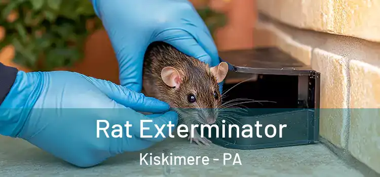  Rat Exterminator Kiskimere - PA