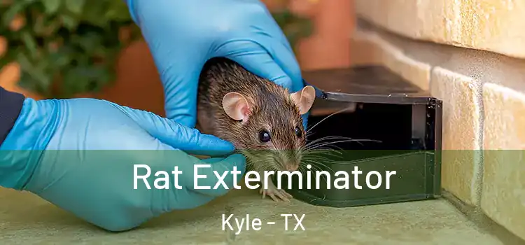  Rat Exterminator Kyle - TX