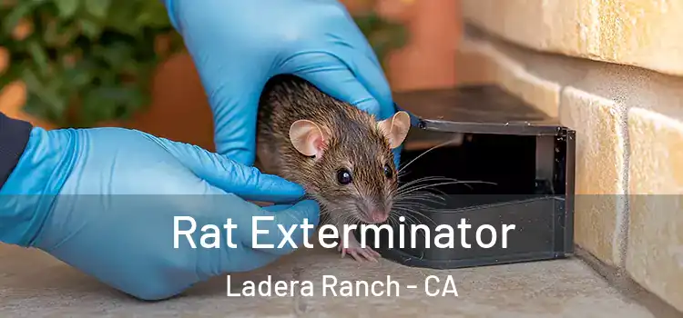 Rat Exterminator Ladera Ranch - CA