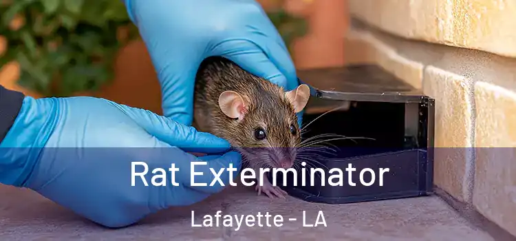  Rat Exterminator Lafayette - LA