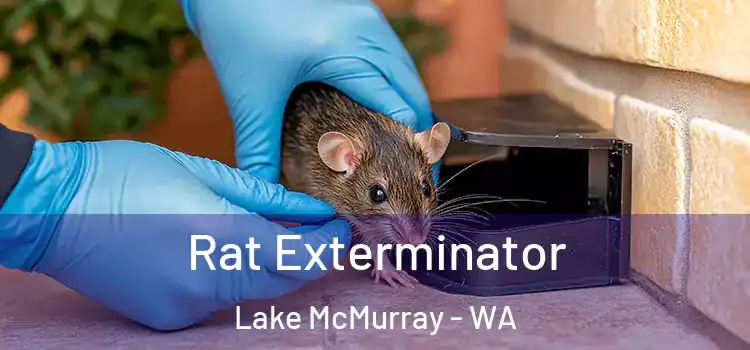  Rat Exterminator Lake McMurray - WA