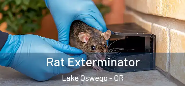 Rat Exterminator Lake Oswego - OR