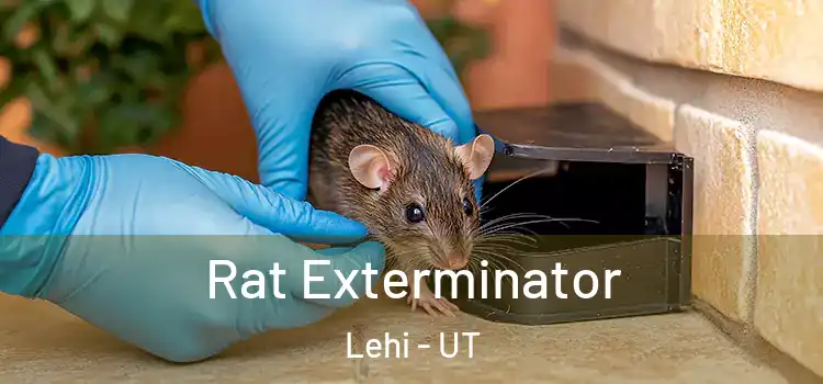  Rat Exterminator Lehi - UT