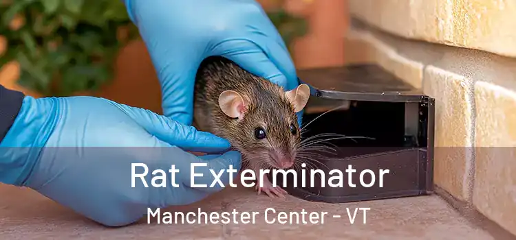 Rat Exterminator Manchester Center - VT