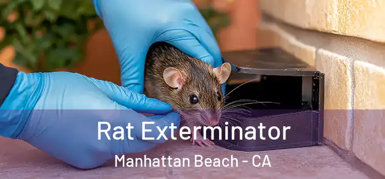  Rat Exterminator Manhattan Beach - CA