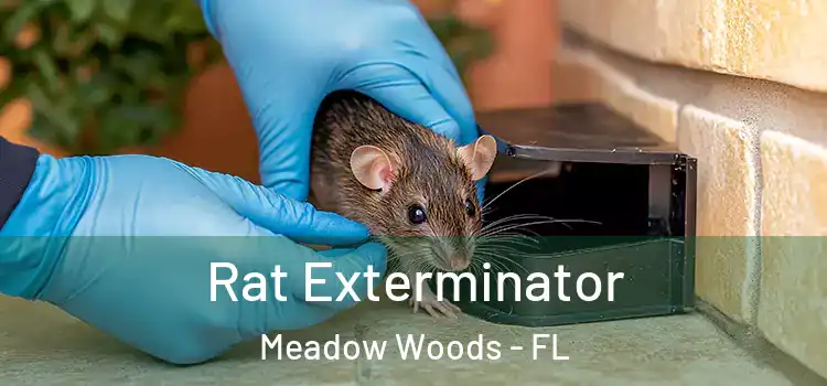  Rat Exterminator Meadow Woods - FL