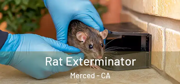 Rat Exterminator Merced - CA