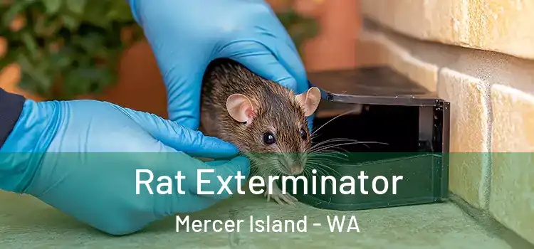  Rat Exterminator Mercer Island - WA