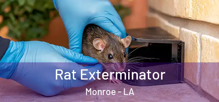 Rat Exterminator Monroe - LA
