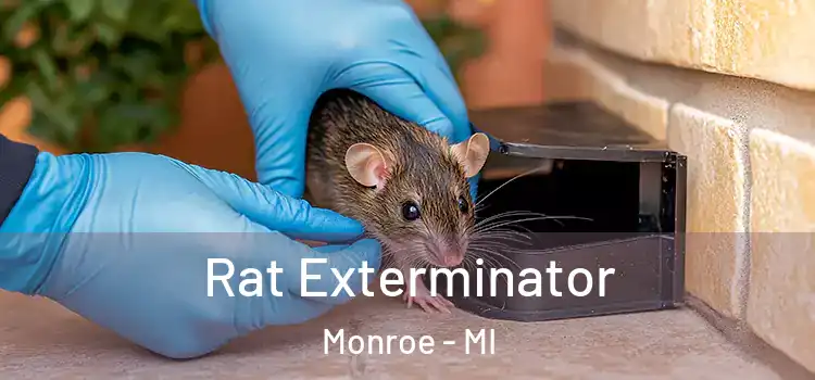Rat Exterminator Monroe - MI