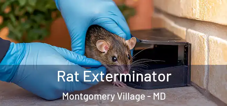  Rat Exterminator Montgomery Village - MD