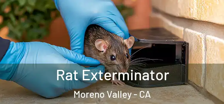  Rat Exterminator Moreno Valley - CA