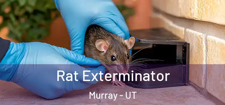  Rat Exterminator Murray - UT