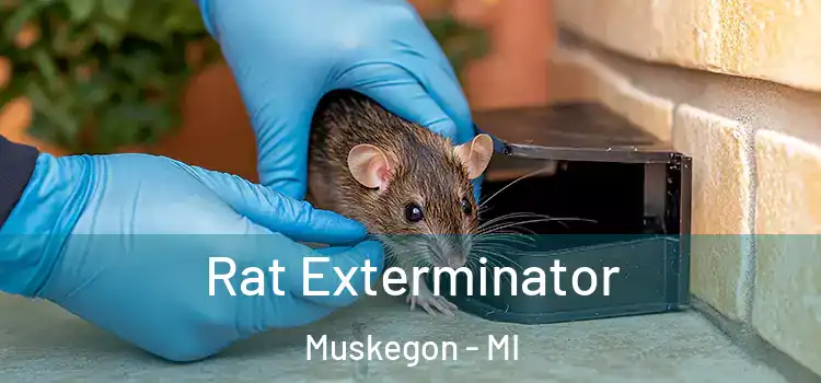  Rat Exterminator Muskegon - MI