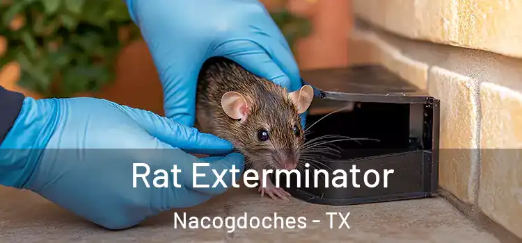  Rat Exterminator Nacogdoches - TX
