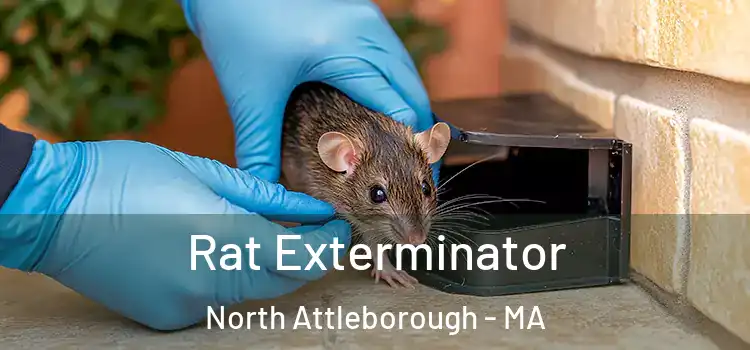 Rat Exterminator North Attleborough - MA