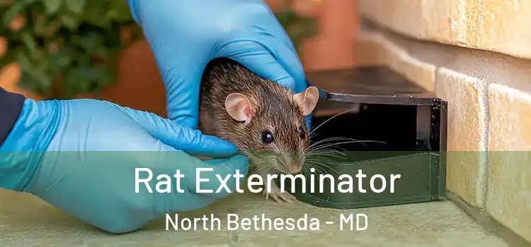Rat Exterminator North Bethesda - MD