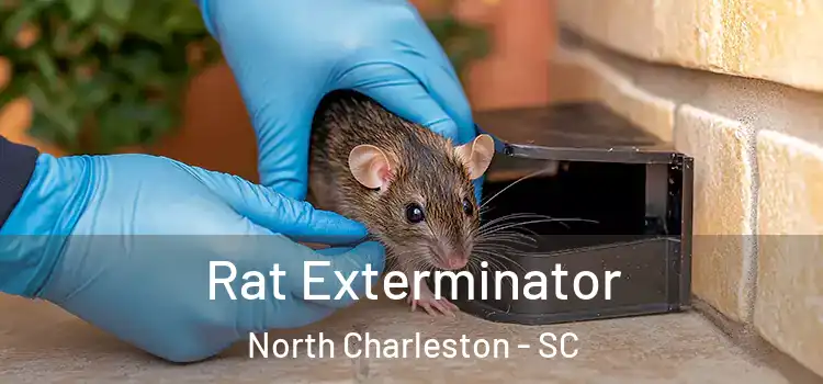 Rat Exterminator North Charleston - SC