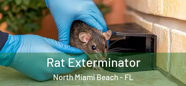 Rat Exterminator North Miami Beach - FL