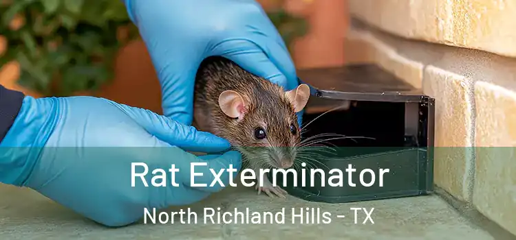 Rat Exterminator North Richland Hills - TX