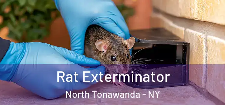 Rat Exterminator North Tonawanda - NY