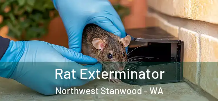  Rat Exterminator Northwest Stanwood - WA