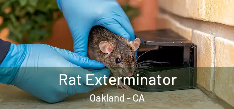Rat Exterminator Oakland - CA