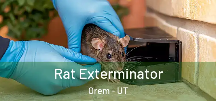  Rat Exterminator Orem - UT