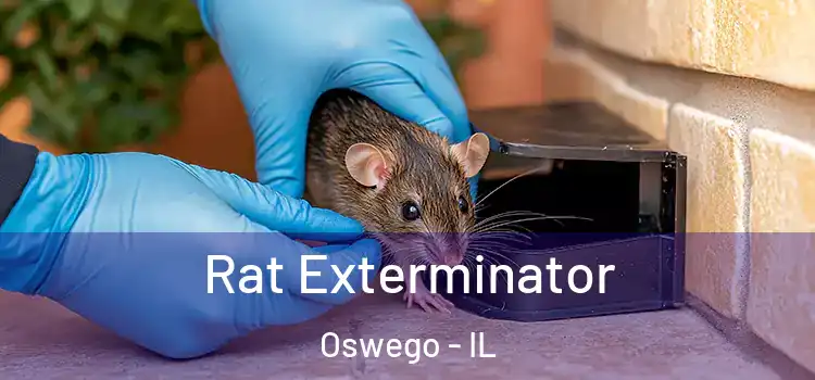 Rat Exterminator Oswego - IL