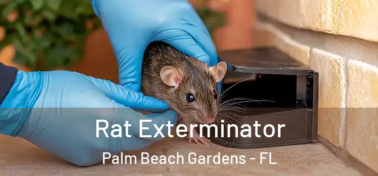 Rat Exterminator Palm Beach Gardens - FL