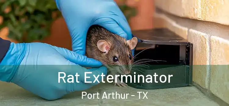 Rat Exterminator Port Arthur - TX