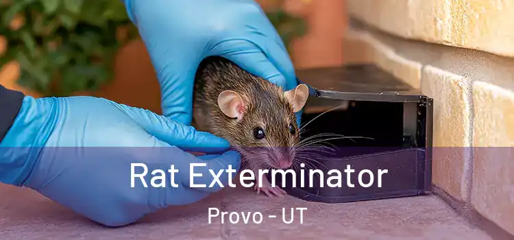  Rat Exterminator Provo - UT