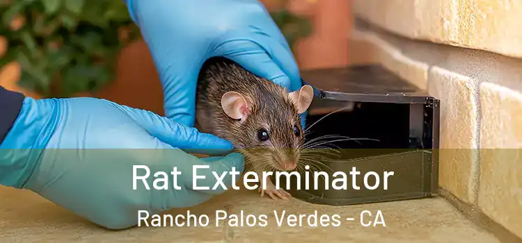 Rat Exterminator Rancho Palos Verdes - CA