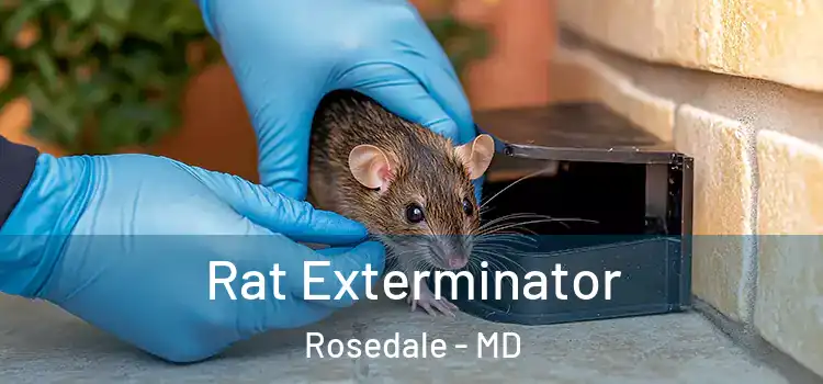  Rat Exterminator Rosedale - MD