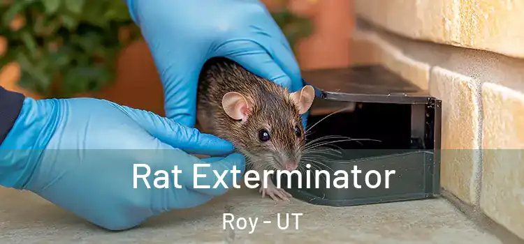  Rat Exterminator Roy - UT