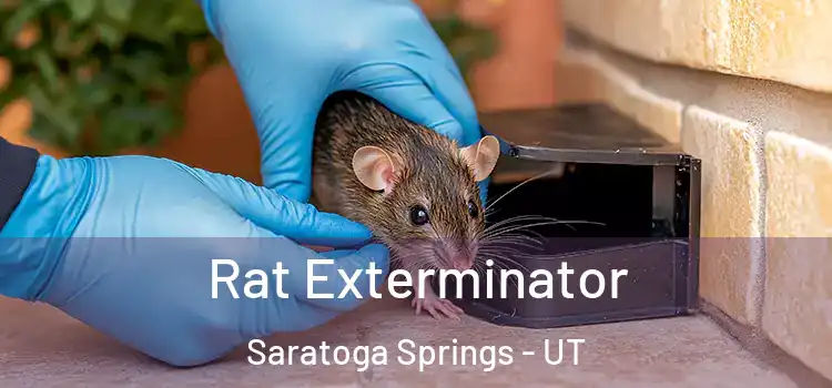  Rat Exterminator Saratoga Springs - UT