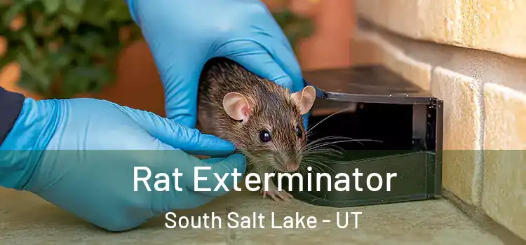  Rat Exterminator South Salt Lake - UT