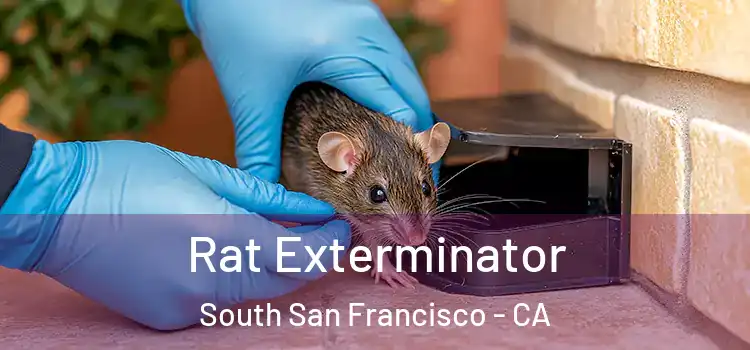  Rat Exterminator South San Francisco - CA