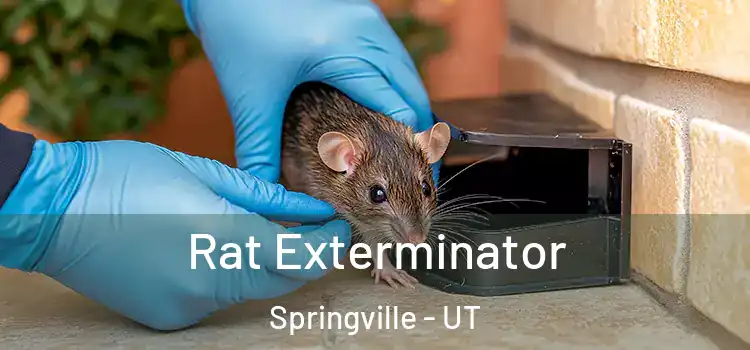  Rat Exterminator Springville - UT