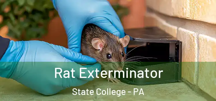  Rat Exterminator State College - PA