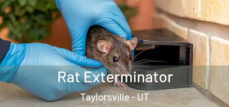  Rat Exterminator Taylorsville - UT