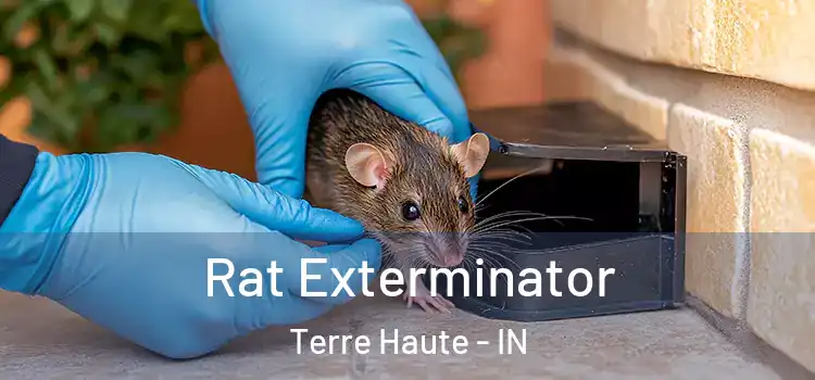  Rat Exterminator Terre Haute - IN