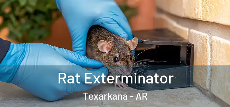  Rat Exterminator Texarkana - AR