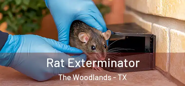 Rat Exterminator The Woodlands - TX