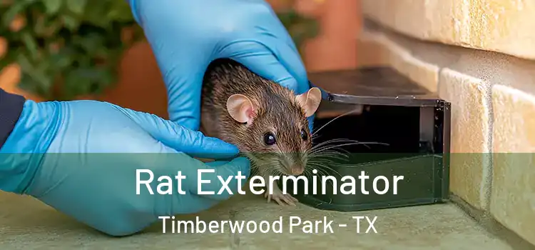 Rat Exterminator Timberwood Park - TX