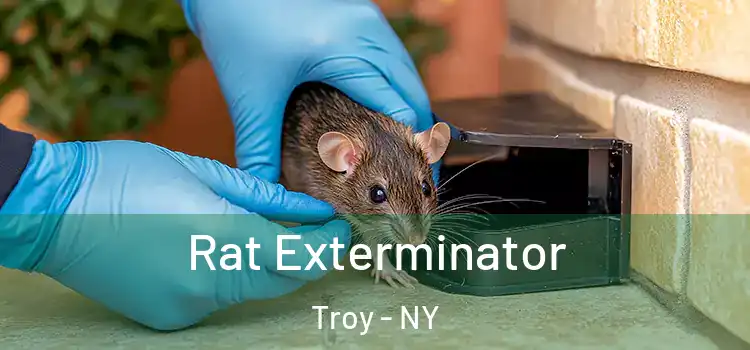  Rat Exterminator Troy - NY