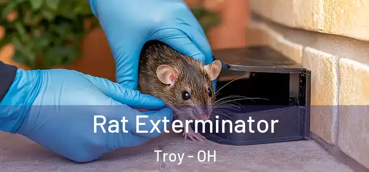  Rat Exterminator Troy - OH