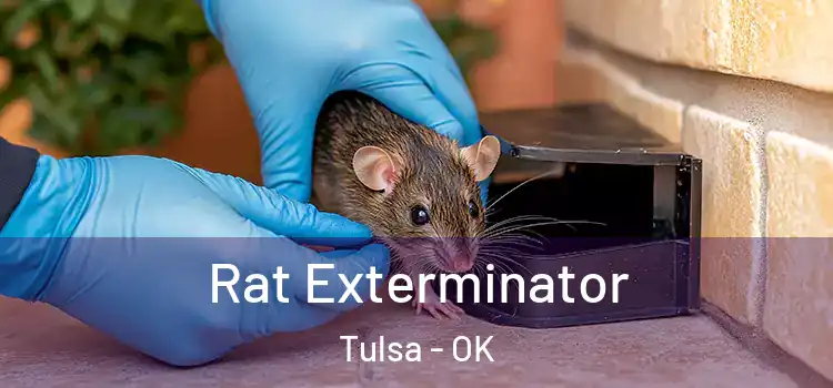  Rat Exterminator Tulsa - OK