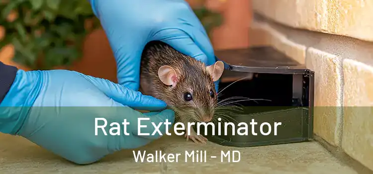  Rat Exterminator Walker Mill - MD